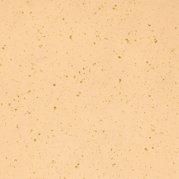 T01