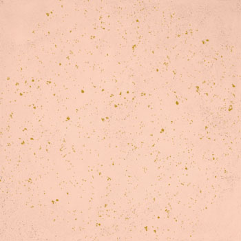T02